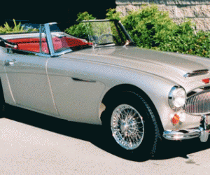 Austin Healey