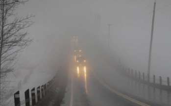 Conducción con niebla, todos sus peligros